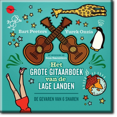 Het grote gitaarboek